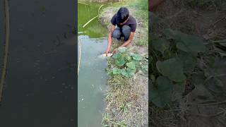 কেচো দিয়ে হুইল ছিপ দিয়ে কতবড় মাছ ধরলাম 🪱🎣125 indian hook fishing vlog  west bengal fishing rod [upl. by Eckart]