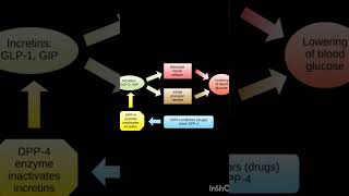 SitagliptinUnderstanding its role in diabetic management ☺️otc diabetic pharmacy medicine [upl. by Perrie]