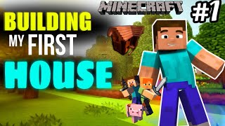 Block Craft 3D 😍 Building my first 🥇 House  Gameplay 🎮🧩Part l ⛏️🗡️ [upl. by Inalaeham]