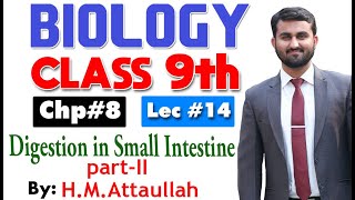 Digestion in small intestine partII  Smart syllabus  Chapter 8  9th class Biology  Lec 14 [upl. by Ennadroj]