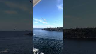 Viking cruise ship leaving Norway cruising [upl. by Nosahc]