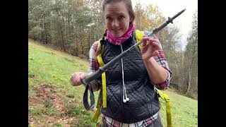 How to use trekking poles  by physical therapist [upl. by Joellen]