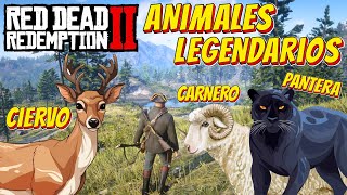 ¡CAZANDO Animales Legendarios Red Dead Redemption 2  Gameplay FULL HD [upl. by Hebrew]