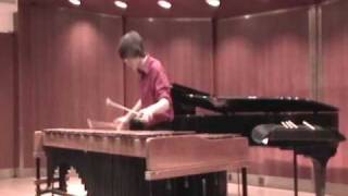 Concerto for Marimba Movement I by Eric Ewazen [upl. by Anayit]