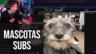 RUBIUS Reacciona a MASCOTAS de SUBS [upl. by Chinua]