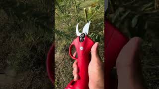 electric scissors easy use save time tool P2262 [upl. by Roch]