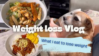 New Vlog What I Ate In A Few Days caloriecounting weightloss [upl. by Rhett315]