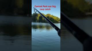 Central Parks boat lake fall carp fishing 10102024 [upl. by Immac]