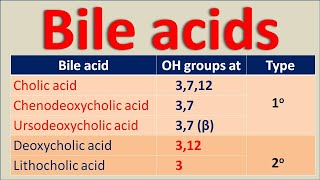 Bile acids  Primary and secondary bile acids [upl. by Latham620]