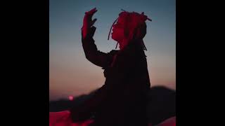 Leray Trippie Redd edit [upl. by Isnan]