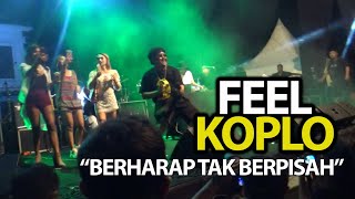 FEEL KOPLO BERHARAP TAK BERPISAH LIVE [upl. by Philender]