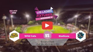 Boland T20 Wild Cats vs Stallions U19 Ladies [upl. by Naujyt]