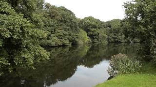 ALDER FARM BRIDESTOWE OKEHAMPTON DEVON [upl. by Erine]