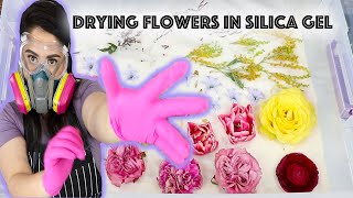 UPDATED How I Dry Flowers in Silica Gel Taking a FLORAL ARRANGEMENT amp Drying it in SILICA GEL [upl. by Obed918]