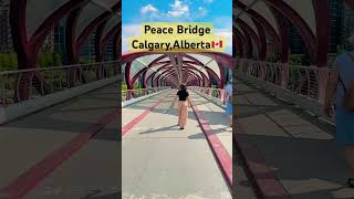 Peace Bridge  Canada  My Travel 2024 shortvideo viralvideo fyp calgary peacebridge canada [upl. by Gilbart301]