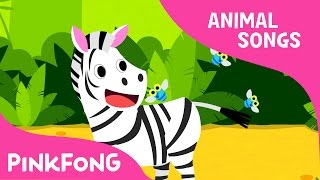 Zebra Cadabra  Zebra  Animal Songs  Pinkfong Songs for Children [upl. by Darius716]