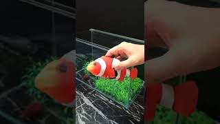 No Filter No CO2 Aquarium Setup for CatFish  Fish Tank Decoration Idea [upl. by Sharia]