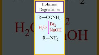 Hofmann degradation or Hofmann rearrangement amide to amine chemistry [upl. by Eon]