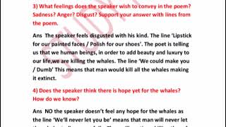 Buzzword poem 4 The song of whale by Rit Wright CBSE Class 8 textual question and answer [upl. by Anelec]