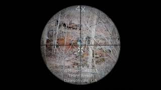 Team Airsoft Dawsonville GA  SR25 DMR Crazy Range 300ft hits [upl. by Eirrehs]