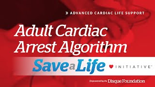 7d Adult Cardiac Arrest Algorithm 2024 [upl. by Castor963]