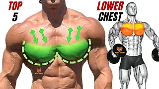 TOP 5 LOWER CHEST EXERCISES WITH DUMBBELLS BARBELL AND CABLE AT GYM [upl. by Mok]