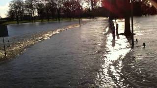 Hoogwater Met evacuatie vrachtwagen Borgharen in [upl. by Lena675]