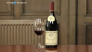 Louis Jadot Couvent des Jacobins Pinot Noir 2015 wine review [upl. by Balfore]