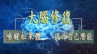 【528Hz】修復DNA ► 大腦修復2小時聲音頻率治療 修補身體內DNA 回復健康  腦音樂 喚醒松果體，提升自己潛能，意識冥想音樂 [upl. by Iago]