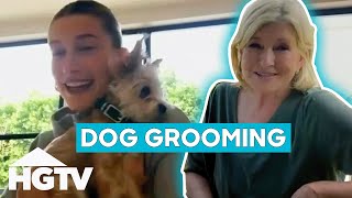 Martha Helps Hailey Bieber With Dog Grooming  Martha Knows Best [upl. by Anaz740]