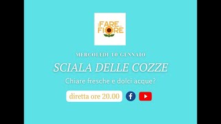 SCIALA DELLE COZZE quotChiare fresche e dolci acquequot [upl. by Leohcin]