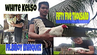 white Kelso trio fifty five thousandbiboy enriquez backyard farm [upl. by Dolan]