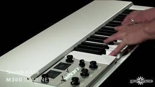 Mellotron M4000D Mini [upl. by Eirod]