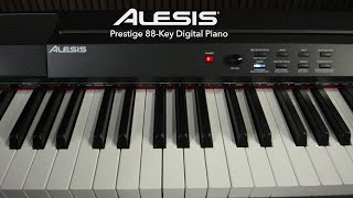 Alesis Prestige 88Key Digital Piano Sound demo  Gear4music [upl. by Yulma]