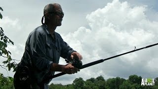 Amazon Apocalypse  How to Catch a RedTailed Catfish  River Monsters [upl. by Nnylylloh544]