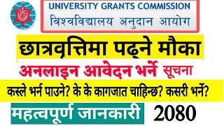 Apply Scholarship for BachelorsMastersउच्च शिक्षामा छात्रवृत्तिका लागि आवेदन फाराम भर्ने सूचना२०८० [upl. by Brunhilda]