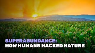 Superabundance How Humans Hacked Nature [upl. by Niessuh]