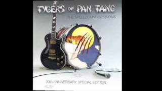 Tygers of Pan Tang The Spellbound Sessions PromoTyger Bay [upl. by Yelmene775]