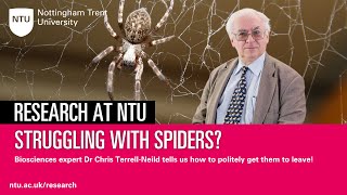 Struggling with Spiders Find out why we see an increase and how to politely get them to leave [upl. by Barabbas]