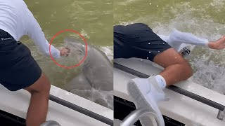 Unprecedented Danger Rare Shark Attack Leaves Florida Everglades Community Stunned [upl. by Etteve100]