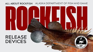 Rockfish Release Devices [upl. by Kostman]