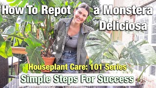 Houseplant Care 101 How To Repot a Monstera Deliciosa Plant  Monstera Care amp Repotting [upl. by Watters467]