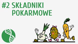 Składniki pokarmowe 2  Odżywianie [upl. by Enninaej384]