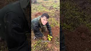 THE GALAPAGOS ISLANDS 😍❤️ wildlife conservation ecotourism kylethomas shorts [upl. by Ynnavoj]