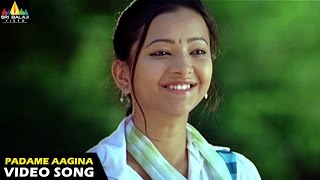 Kotha Bangaru Lokam Songs  Padame Aagina Video Song  Varun Sandesh Swetha Basu  Sri Balaji Video [upl. by Teik]