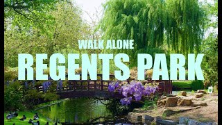 REGENTS PARK WALK 2024 [upl. by Fiore159]