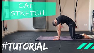 CAT STRETCH  TUTORIAL DELL ESERCIZIO  Mobilizzazione della colonna vertebrale e del bacino [upl. by Primrosa45]