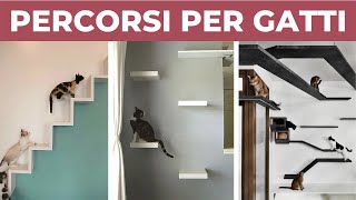 PERCORSI PER GATTI da parete fai da te  DIY [upl. by Atsyrhc81]