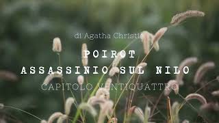 Assassinio sul Nilo di Agatha Christie  Capitolo Ventiquattro [upl. by Ainelec]