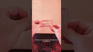 Where is the other half of card easytrick playingcard simplemagictricks learnmagictricks [upl. by Masha]